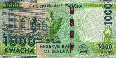 Beschrijving achterzijde: SILOS